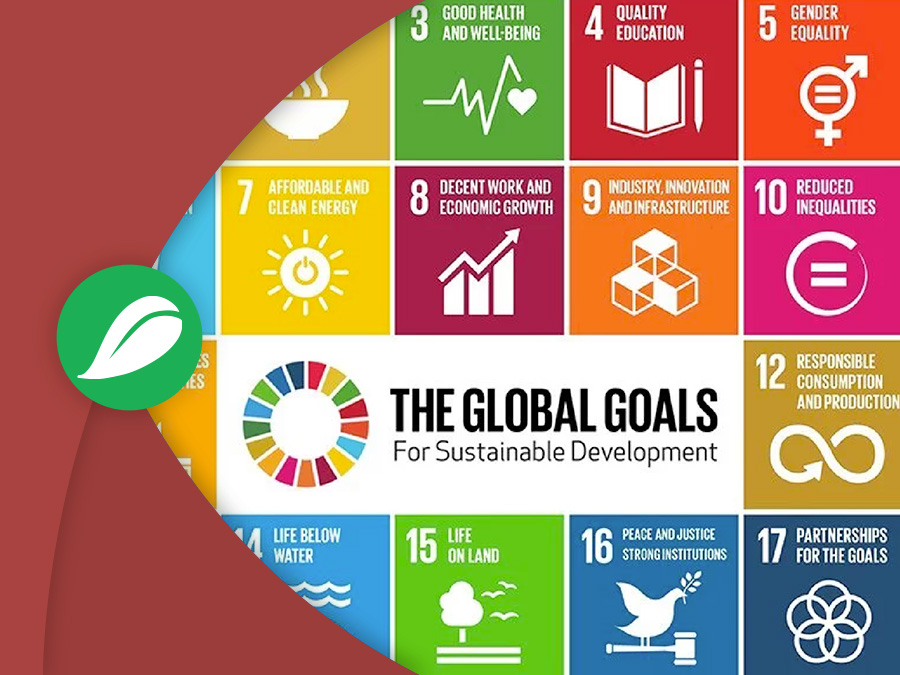 Gli obiettivi di sviluppo ONU