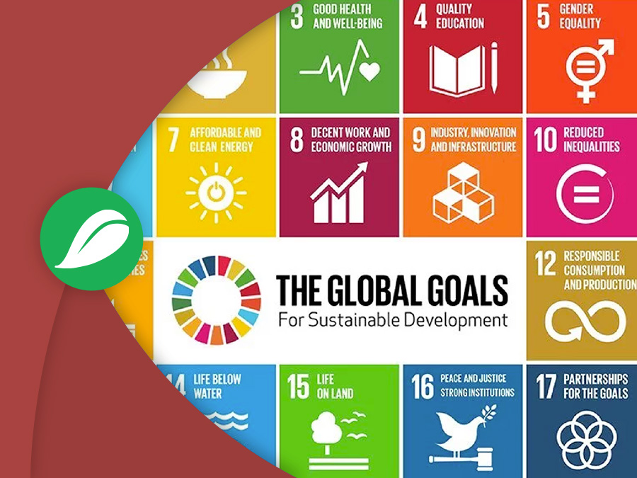 The ONU Development Goals